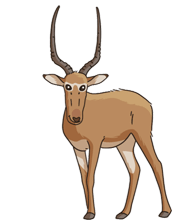 Gif animé antilope marron